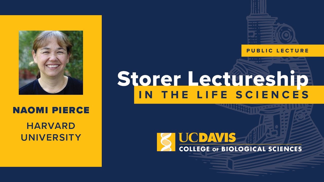Storer Lectureship feat. Naomi Pierce, Harvard University | May 26, 2011