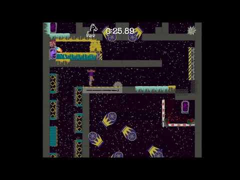 raccoons mansion