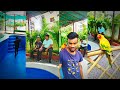 Maya Tails n Trails Kennel Hyderabad || Review in 4K @MayaTailsnTrails
