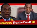 Mwonzora BLASTS Mnangagwa Over Proposed Constitution Changes