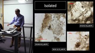 Phytolith Analysis on thin Sections of Urban Dark Earth in Brussels. A State of the Art