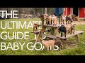 The ULTIMATE Baby Goat Guide