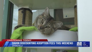 Dakin discounting adoption fees this weekend
