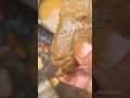 Cleaning Work Mango seed #shorts