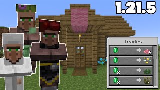 We Added 6 NEW Villager Professions to Minecraft 1.21.5