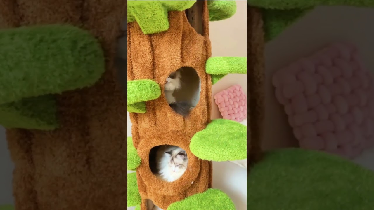 Luxury Tall Cat Tree Looks Like Tree🌲 