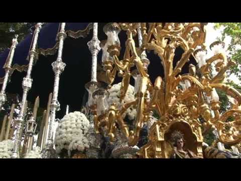 Pontificia, Muy Ilustre y Venerable Archicofradía Sacramental y Seráfica de Nuestro Padre Jesús Orando en el Huerto, Nuestra Señora de la Concepción, San Juan Evangelista y Nuestra Señora de la Oliva