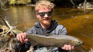 Steelhead and Brook Trout Fishing in Michigan's Upper Peninsula