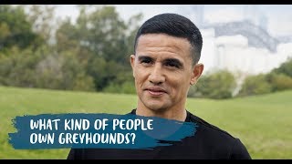 GAP NSW Tim Cahill Series - What kinds of people own greyhounds? by Greyhounds As Pets 445 views 4 years ago 16 seconds