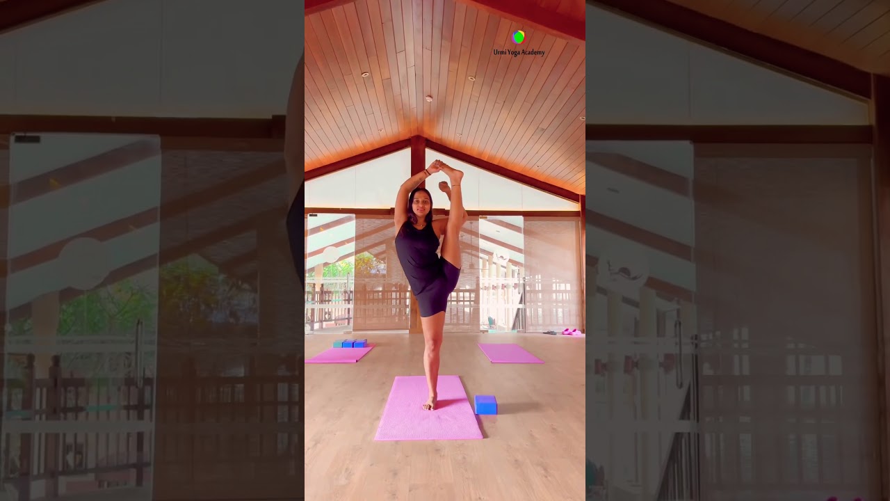 One leg up in standing yoga pose  