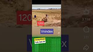 Đầu tư chứng khoán cùng ITP