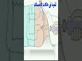 الحقنه الشرجية