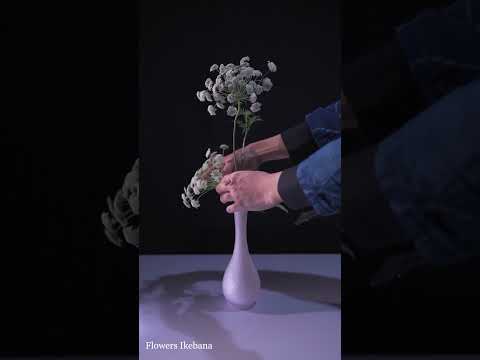 ゆらゆらそよぐレースフラワー 自由花 投げ入れ花 見る生け花シリーズ 4 Shorts Youtube