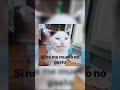 MI MÉTODO PARA AHORRAR#memes#humor#shorts#memedeldia