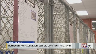 Huntsville Animal Services Sees Big Community Response | July 7, 2025 | News 19 at 4 p.m.