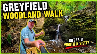 High Littleton, BANES,  Greyfield Woodland Walk, But is it worth a Visit?