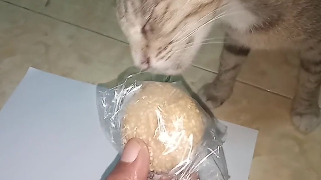 Onde Onde Isinya Apa Onde Onde Isinya Apa