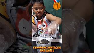 How To Plant. Performance Task in Science by Isaiah Christian A SADE  Grade 2 Faith of SMC Iligan Profile