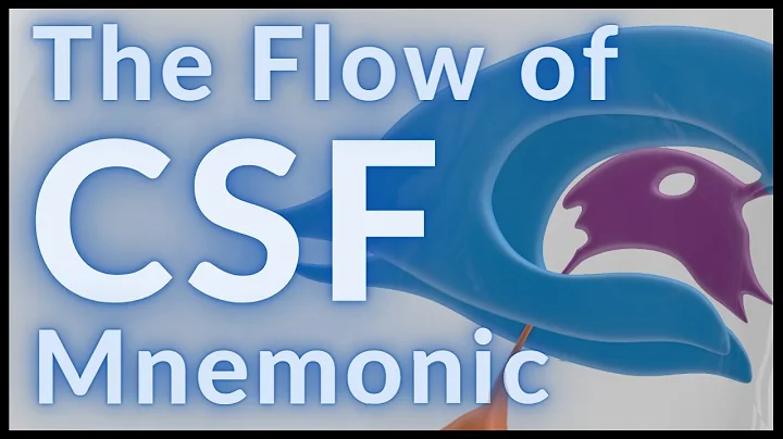 Flow of CSF - MADE EASY!!! - DayDayNews
