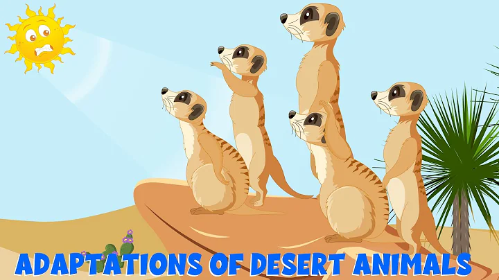 Adaptations of the Desert Animals - How Do Animals Survive in the Desert? - Learning Junction thumbnail