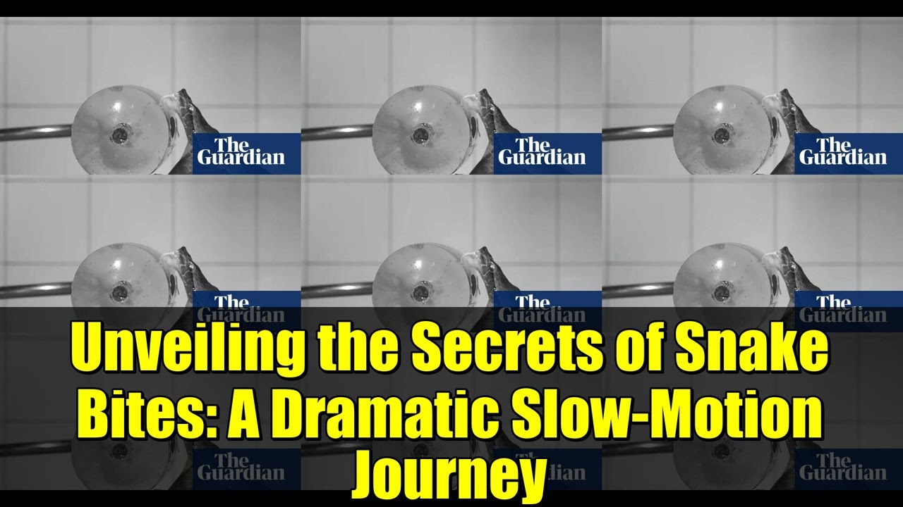 Unveiling the Secrets of Snake Bites: A Dramatic Slow-Motion Journey