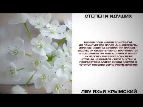 144. Разбор слов имама Аль-Харауи || Абу Яхья Крымский