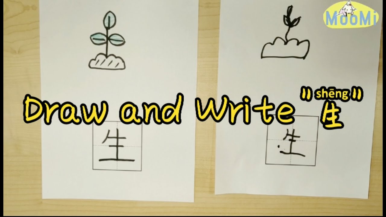 Chinese Character Draw and Write