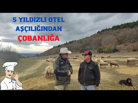 Video: Homurdanan Kuzular