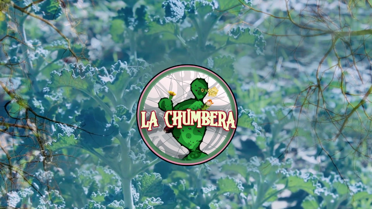 LA CHUMBERA | Andrés Saldarriaga - Dispárame