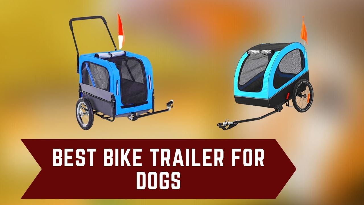 Best Bike Trailer for Dogs Top Selling Bike Trailer for Dogs YouTube