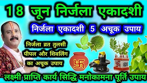 18 जून निर्जला एकादशी 5 अचूक उपाय लक्ष्मी प्राप्ति मनोकामना पूर्ति उपाय #निर्जला #pradeepmishra