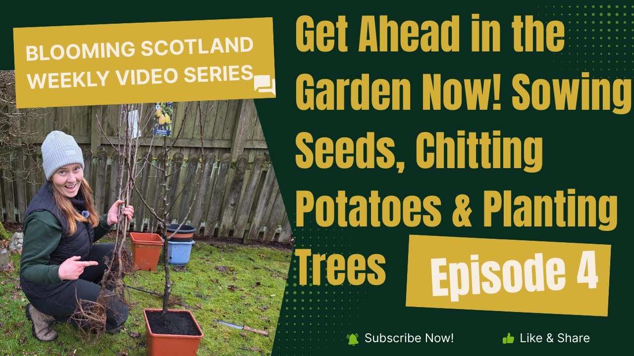 Get Ahead in the Garden Now! Sowing Seeds, Chitting Potatoes & Planting Fruit Trees