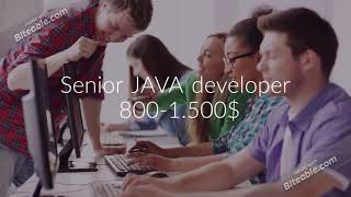 PHP developer  and JAVA developer