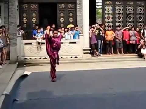 长拳 Long Fist