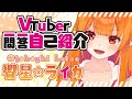 【自己紹介】Vtuber一問一答自己紹介/Vtuber Q&A Self Introduction【響星ライカ/LeikaOtohoshi】 #Vtuber一問一答自己紹介 #新人Vtuber
