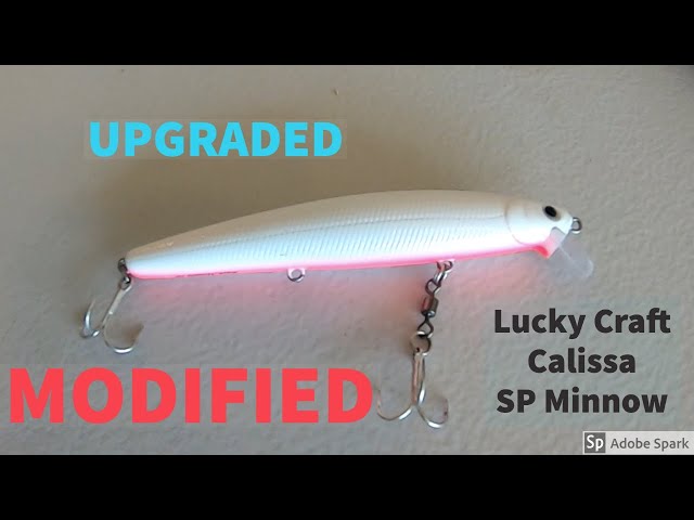 LUCKY CRAFT 110 and CALISSA Flash Minnow / Modification UPGRADE