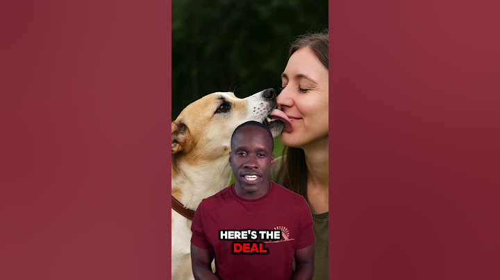 A dog’s mouth is cleaner than a human’s. Truth or Trash? Episode 207 #biology #science #stem