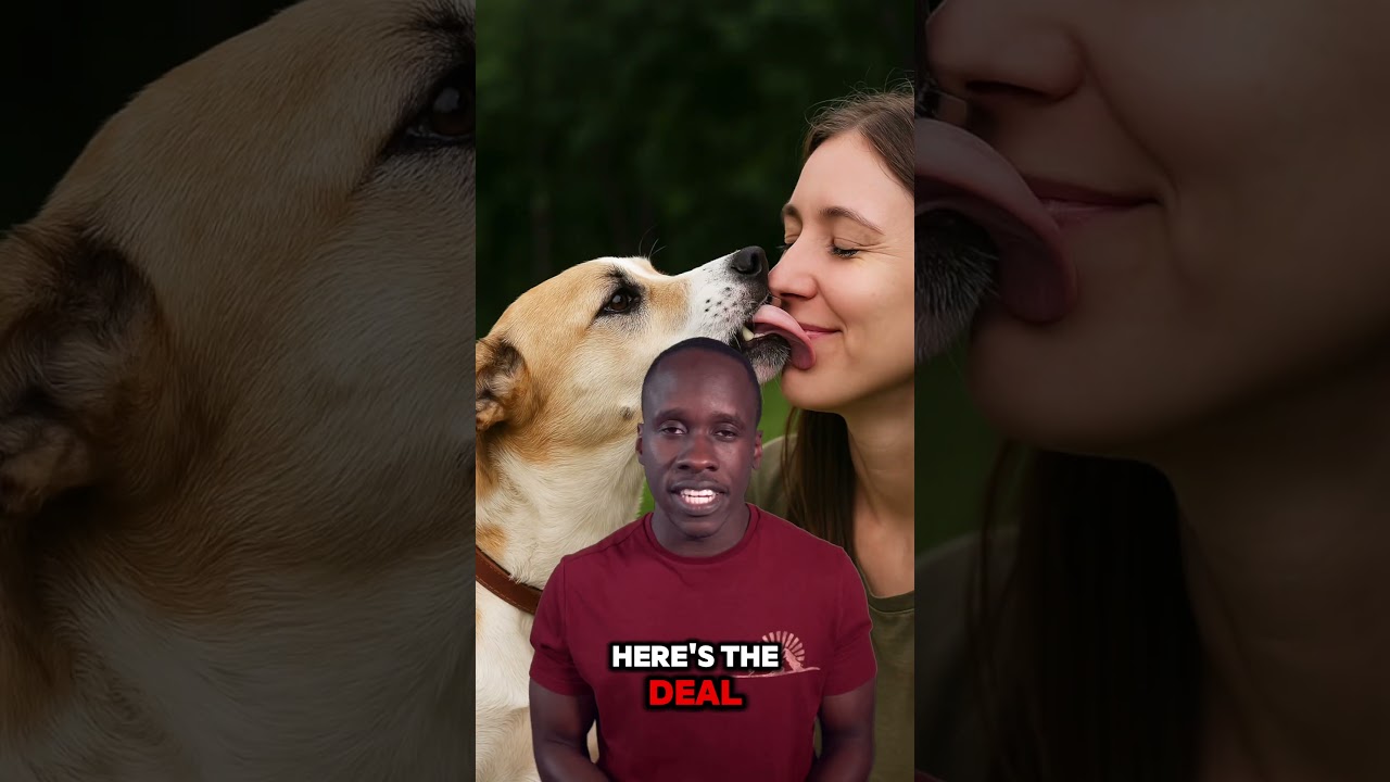 A dog’s mouth is cleaner than a human’s. Truth or Trash? Episode 207 