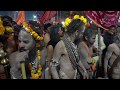 Maha Shivaratri avec les Naga Sadhus, Monts Girnar, Gujarat, Inde. 2020.