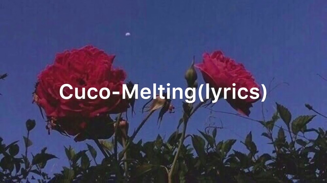 Melting - Cuco (Lyrics)