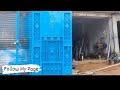 Latest Model Design Gate| New Model Iron Gate Design|