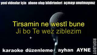 tirsamin karaoke kürtçe Resimi