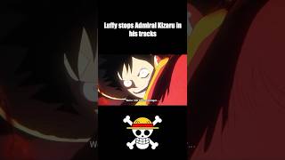 Luffy stops Admiral Kizaru in his tracks #onepiece #anime #eggheadisland