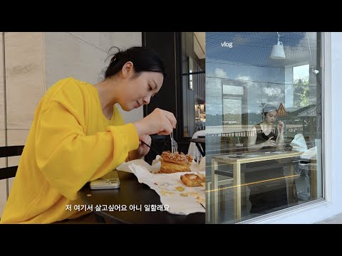 vlog + 여름 끝자락 브이로그 (오랜만에 같이 출근하는 내새끼 동그리 그리고 너무나도 좋았던 제주 여행!🌅)