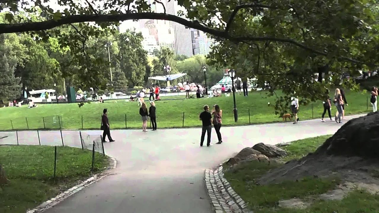 people walking in the park