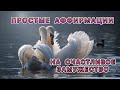 Простые АФФИРМАЦИИ на ❤️ Счастливое ЗАМУЖЕСТВО