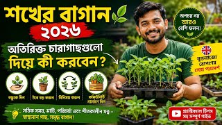 Hobby garden 2026: What to do with your Bangladeshi leftover spare seedlings and planting tips in UK