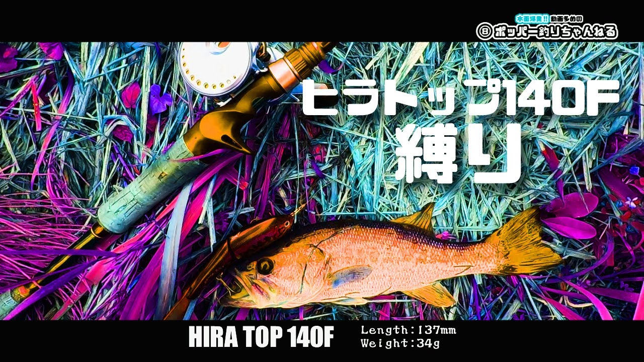 2023.05.08ブラックバスは何処へ】ヒラトップ140F縛り ルアー