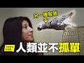 人類並不孤單：科學家發現身邊正隱藏著一個平行文明……|自說自話的總裁