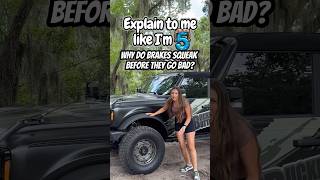 Explain to Me Like I'm 5.. Why do Brakes Squeak Before They Go Bad?
